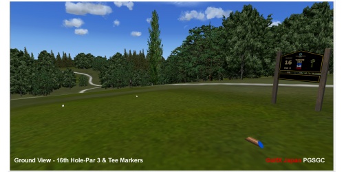 20_golfx_jp_ground_view-16th_hole-par_3__tee_markers