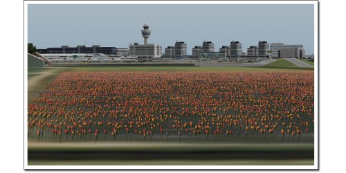 airport_amsterdam_09